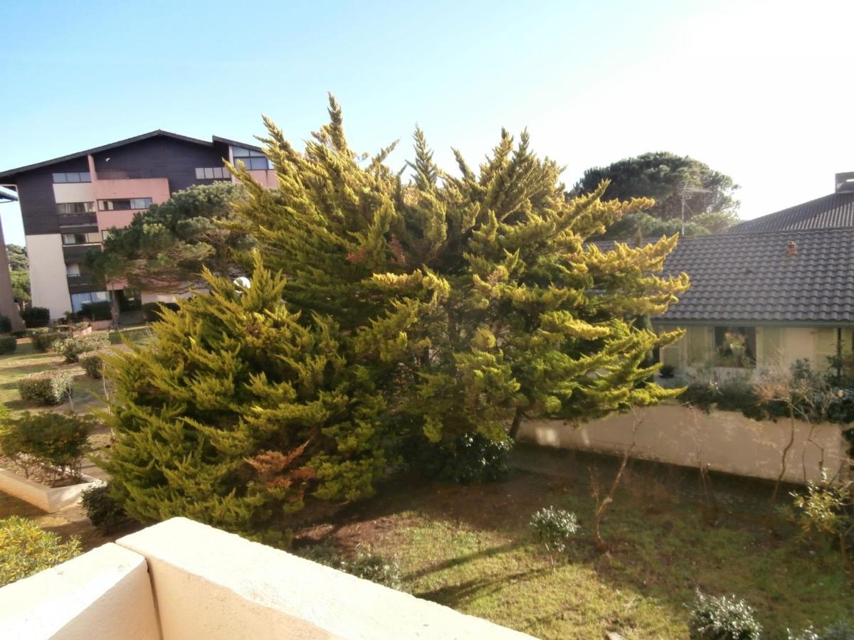 Appartement Renove Avec Balcon, Proche Plage Et Marche - 4 Pers, Calme & Confort A Seignosse - Fr-1-239-460 Exteriör bild